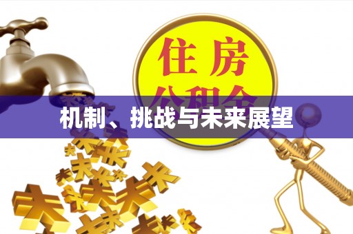 天长机制、挑战与未来展望